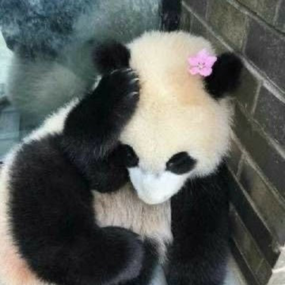 Meet your Posher, Lala